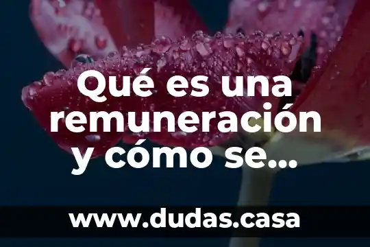 Qué es una remuneración y cómo se calcula