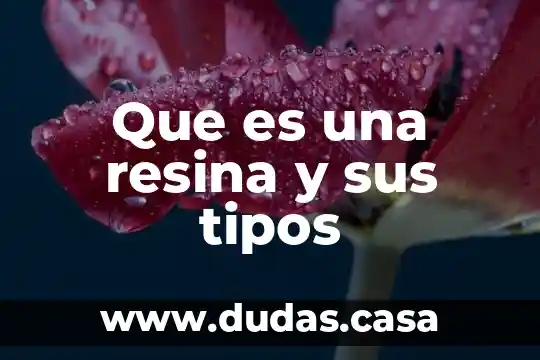 Que es una resina y sus tipos