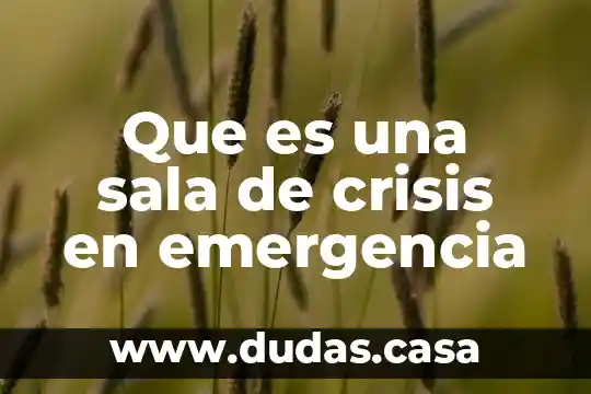 Que es una sala de crisis en emergencia