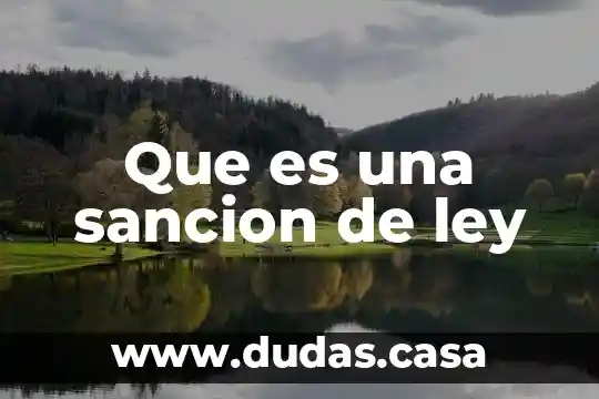 Que es una sancion de ley