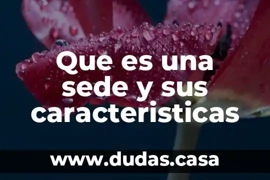 Que es una sede y sus caracteristicas