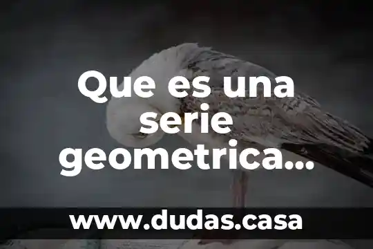 Que es una serie geometrica para niños