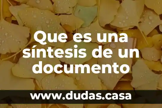 Que es una síntesis de un documento