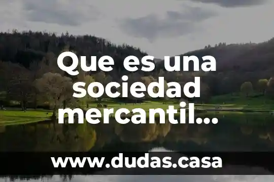 Que es una sociedad mercantil capitalista