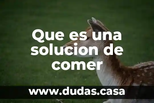 Que es una solucion de comer