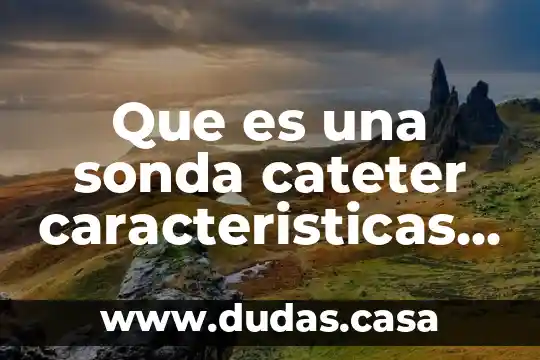 Que es una sonda cateter caracteristicas tienen