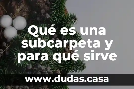 Qué es una subcarpeta y para qué sirve