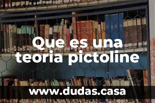 Que es una teoria pictoline