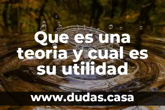 Que es una teoria y cual es su utilidad