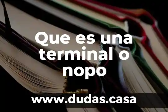 Que es una terminal o nopo
