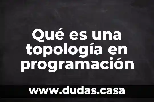 Qué es una topología en programación