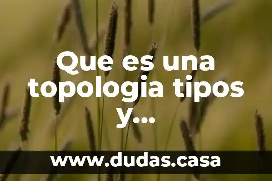 Que es una topologia tipos y caracteristicas