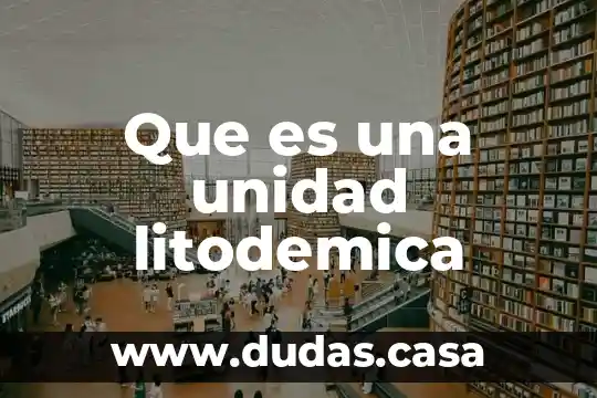 Que es una unidad litodemica