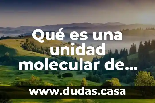 Qué es una unidad molecular de las proteínas