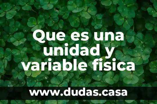 Que es una unidad y variable fisica