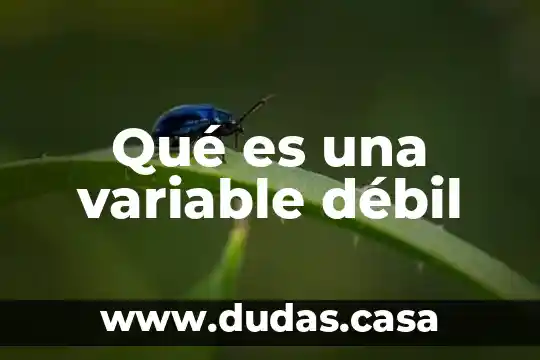 Qué es una variable débil