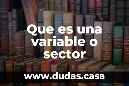 Que es una variable o sector