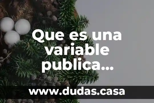 Que es una variable publica vbexcel