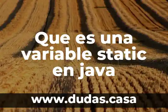 Que es una variable static en java