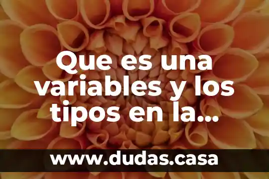 Que es una variables y los tipos en la investigacion