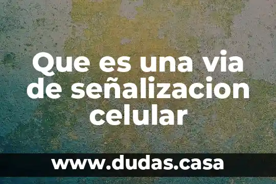 Que es una via de señalizacion celular