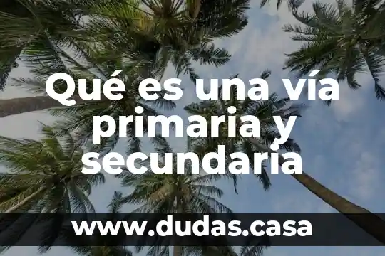 Qué es una vía primaria y secundaria