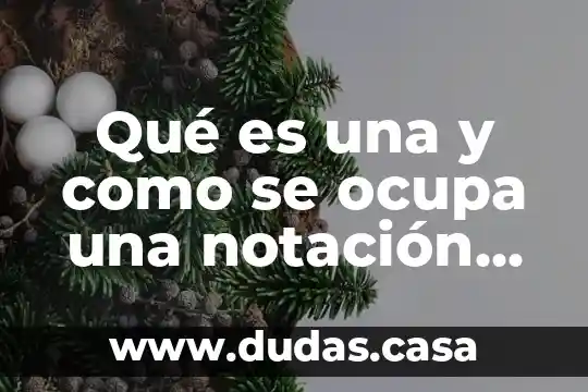 Qué es una y como se ocupa una notación científica