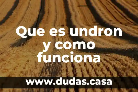 Que es undron y como funciona
