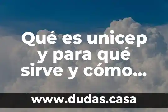 Qué es unicep y para qué sirve y cómo funciona
