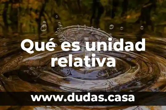 Qué es unidad relativa