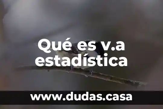 Qué es v.a estadística