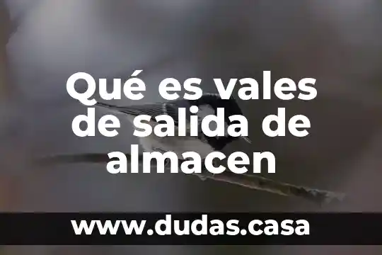 Qué es vales de salida de almacen
