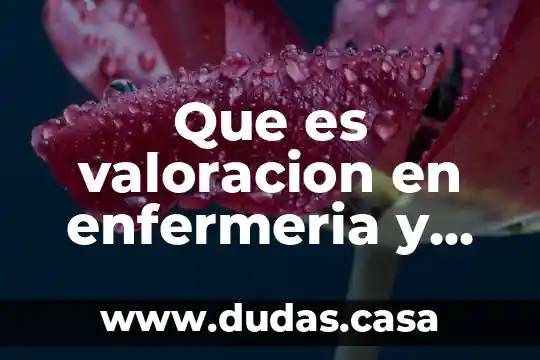 Que es valoracion en enfermeria y tipos