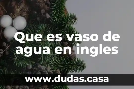 Que es vaso de agua en ingles