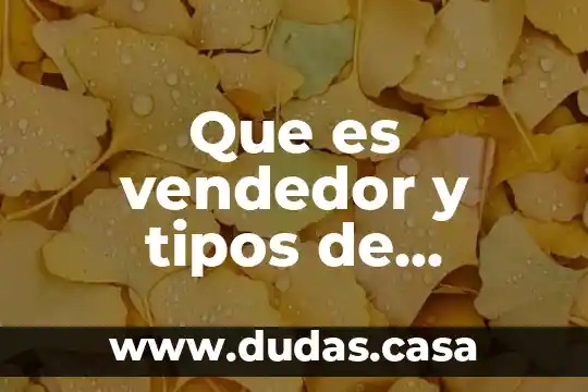 Que es vendedor y tipos de vendedores