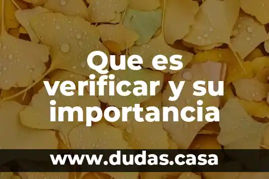 Que es verificar y su importancia