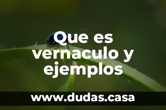 Que es vernaculo y ejemplos