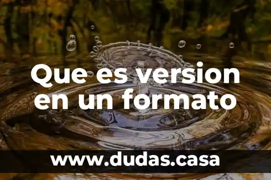 Que es version en un formato