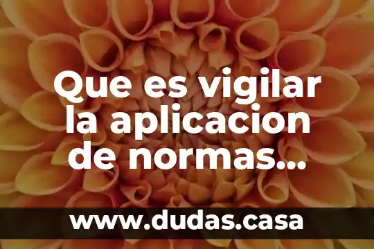 Que es vigilar la aplicacion de normas politica y lineamiento