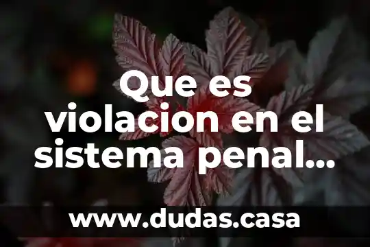 Que es violacion en el sistema penal de mexico