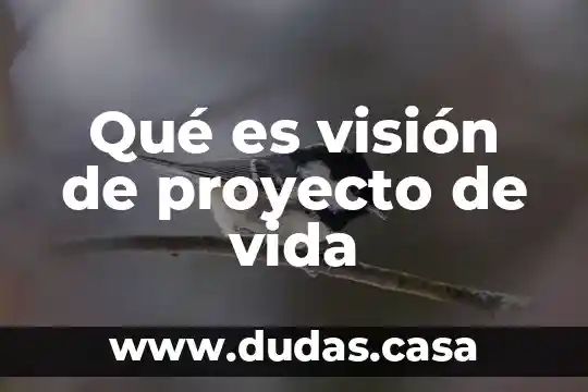 Qué es visión de proyecto de vida