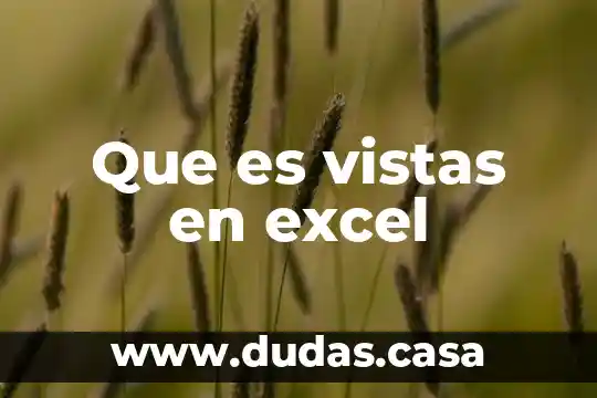 Que es vistas en excel