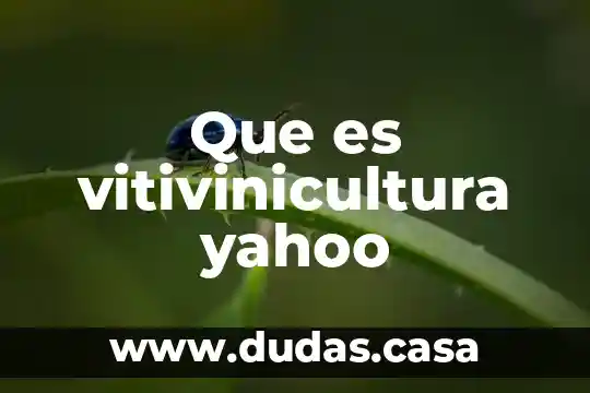 Que es vitivinicultura yahoo