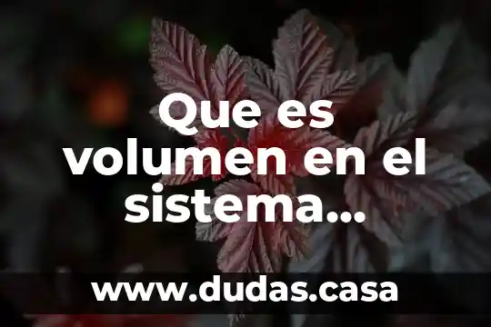 Que es volumen en el sistema internacional