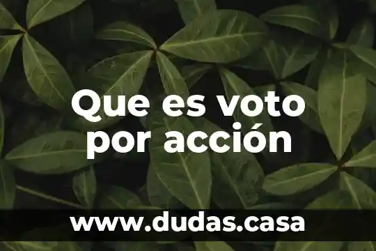 Que es voto por acción