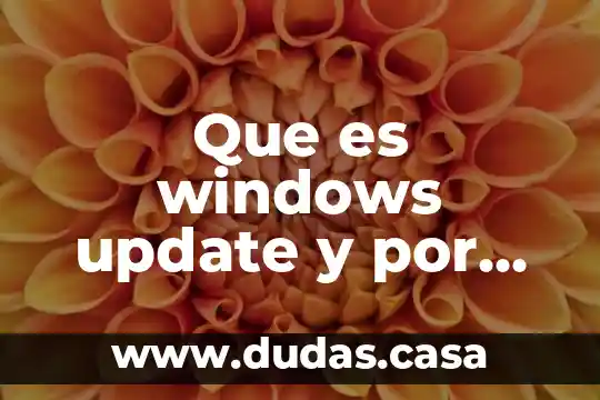 Que es windows update y por que reinicia mi computadora