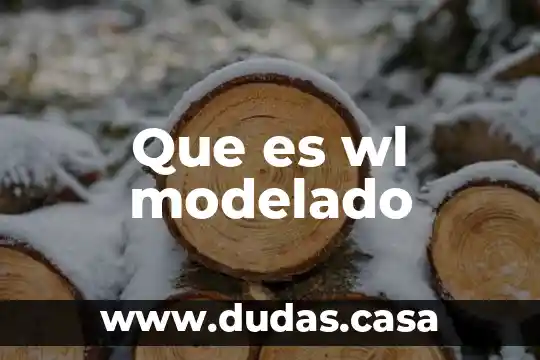 Que es wl modelado