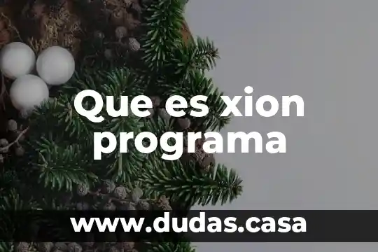Que es xion programa