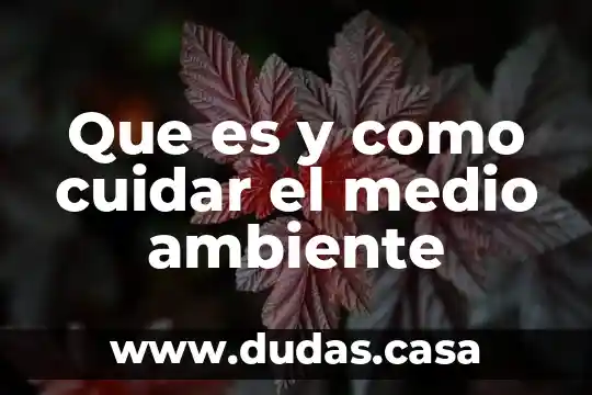 Por que es importante cuidar el ph neutro 4 Que es y como cuidar el medio ambiente
