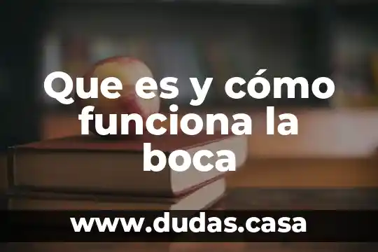 Que es y cómo funciona la boca